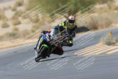 media/May-14-2023-SoCal Trackdays (Sun) [[024eb53b40]]/Turn 5 Tree of Life (1125am)/